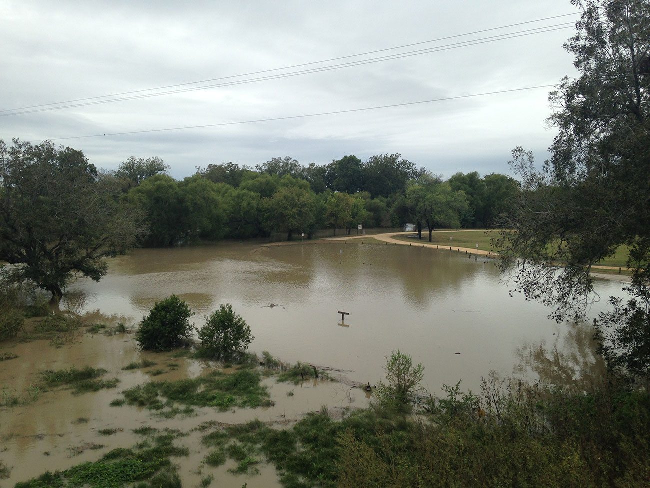 Helton Nature Park flooded with standing water